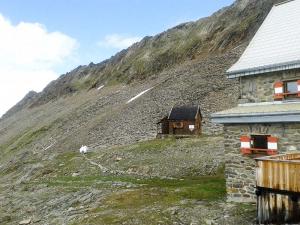 Bild-