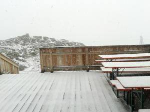 Bild-